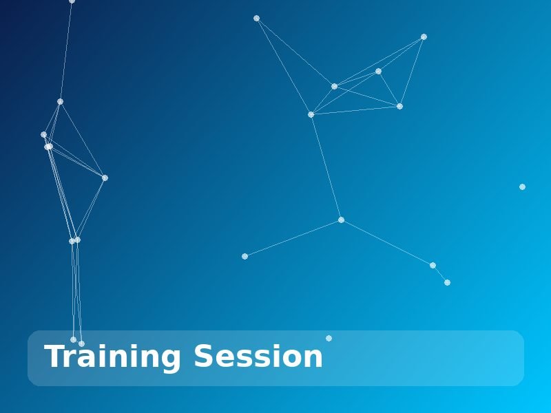 Training Session